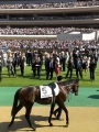 トゥザワールド　2014 Japanese Derby
